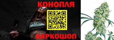 шишки Конаково