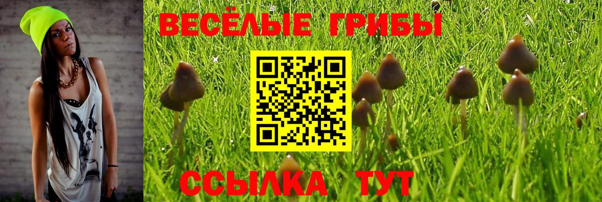 Галлюциногенные грибы Magic Shrooms Коряжма