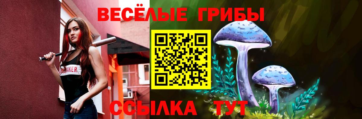 Галлюциногенные грибы мицелий  Вход с VPN  Коряжма  где найти наркотики  Псилоцибиновые грибы мухоморы 